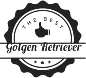 Golden Retriever The Best!